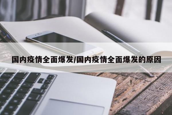 国内疫情全面爆发／国内疫情全面爆发的原因